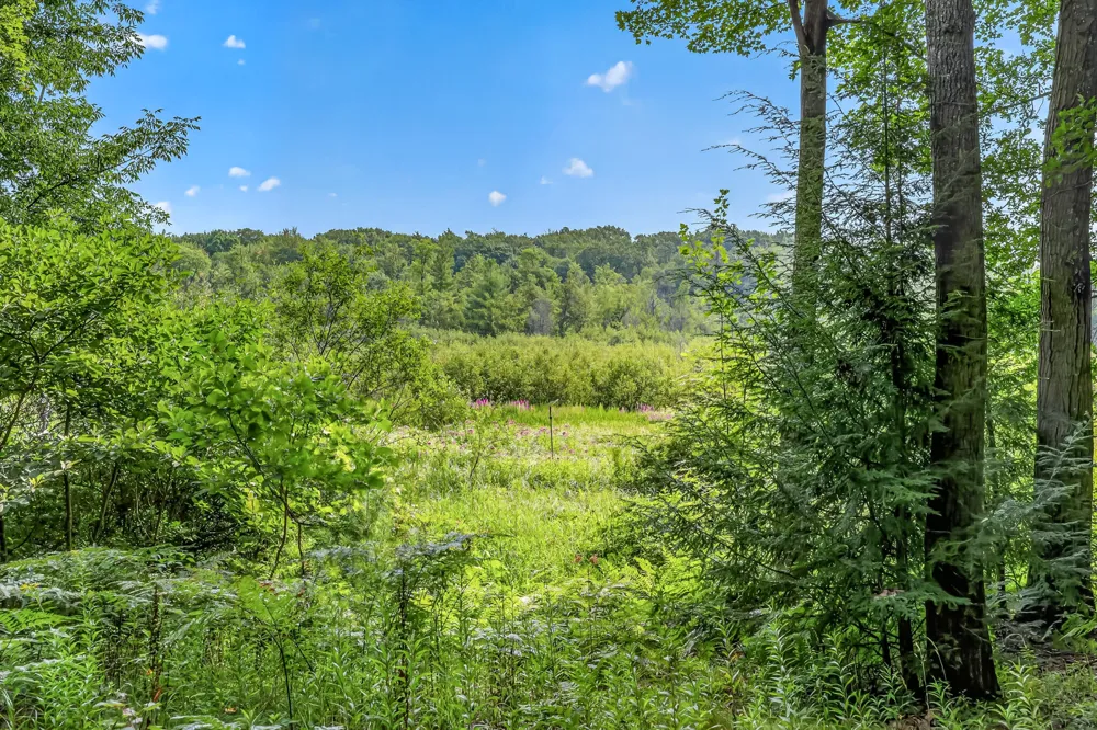 7392 Northern Drive Weare Township, MI 49449