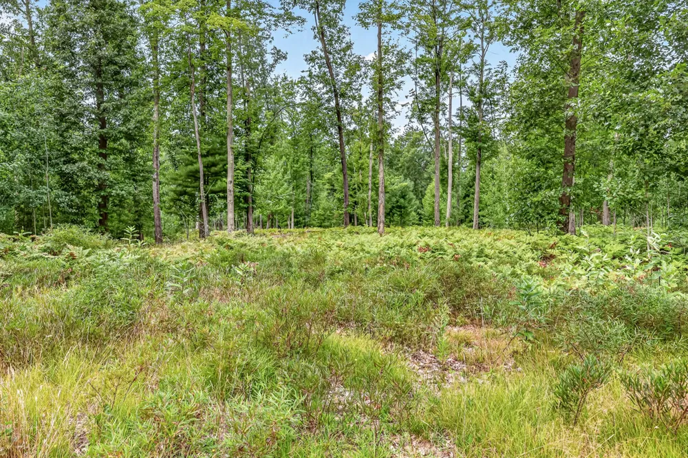 7392 Northern Drive Weare Township, MI 49449