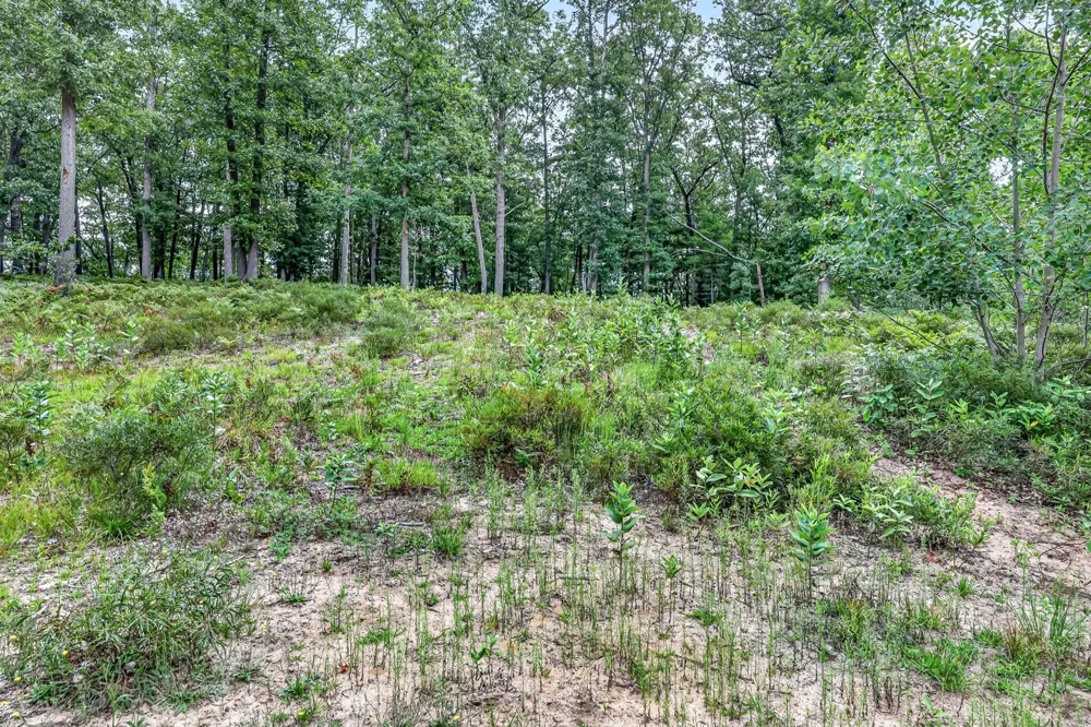 7392 Northern Drive Weare Township, MI 49449