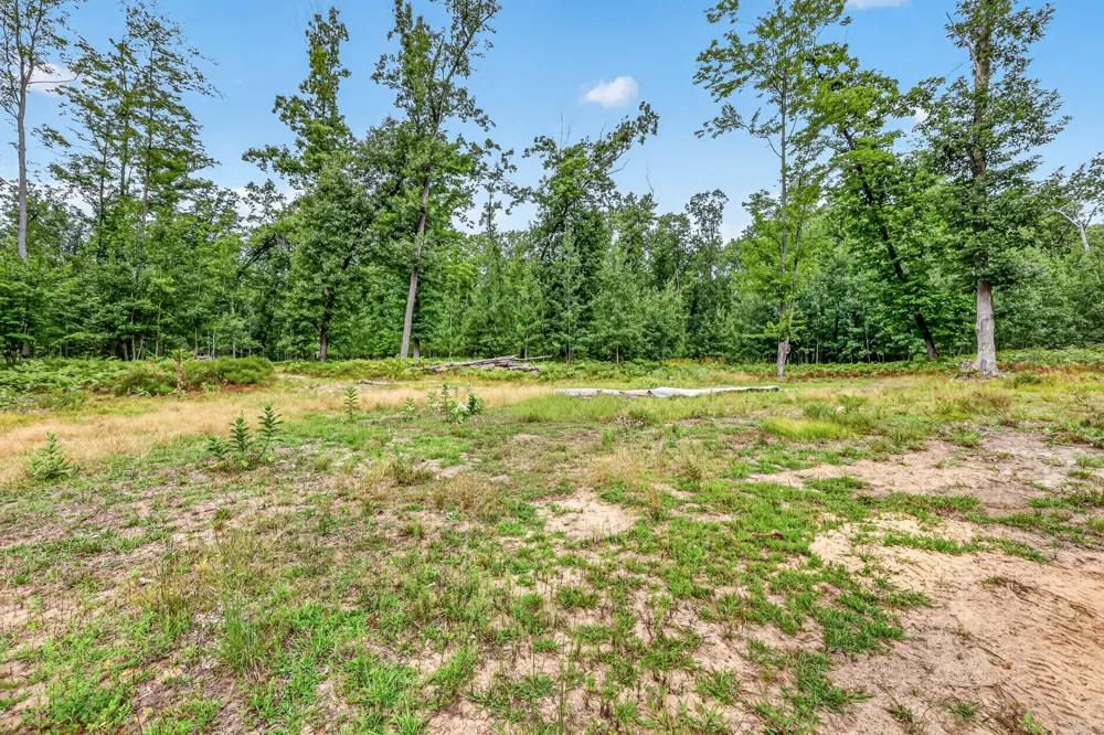 7392 Northern Drive Weare Township, MI 49449