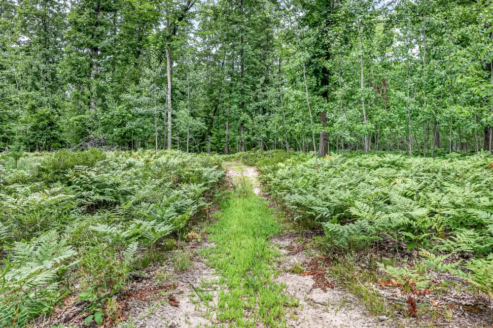 7392 Northern Drive Weare Township, MI 49449