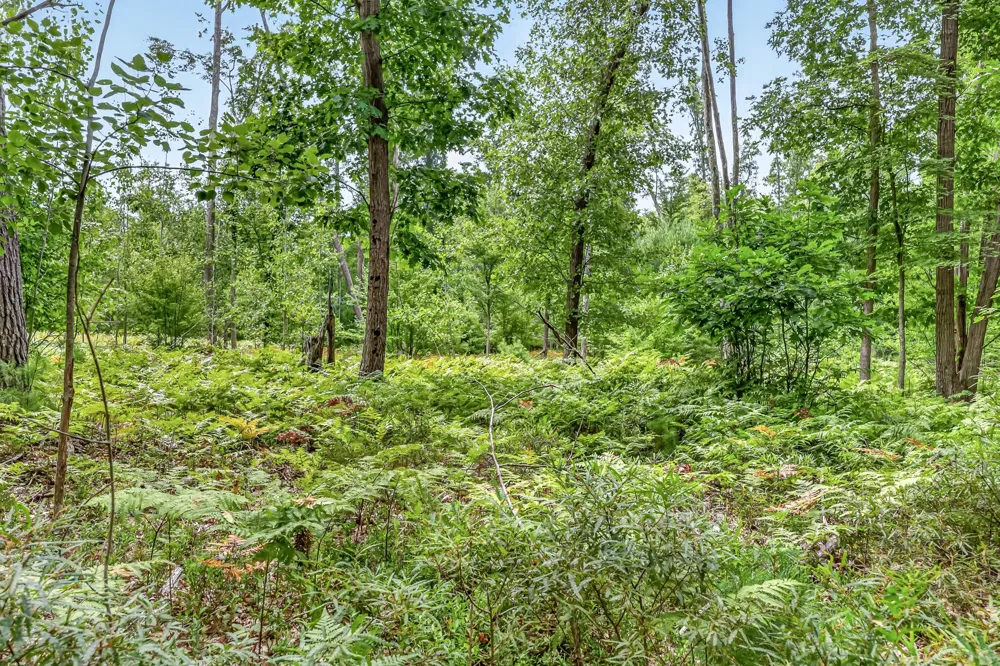 7392 Northern Drive Weare Township, MI 49449