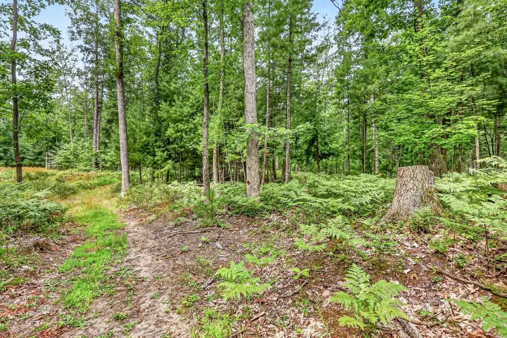 7392 Northern Drive Weare Township, MI 49449
