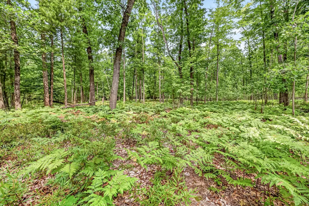 7392 Northern Drive Weare Township, MI 49449