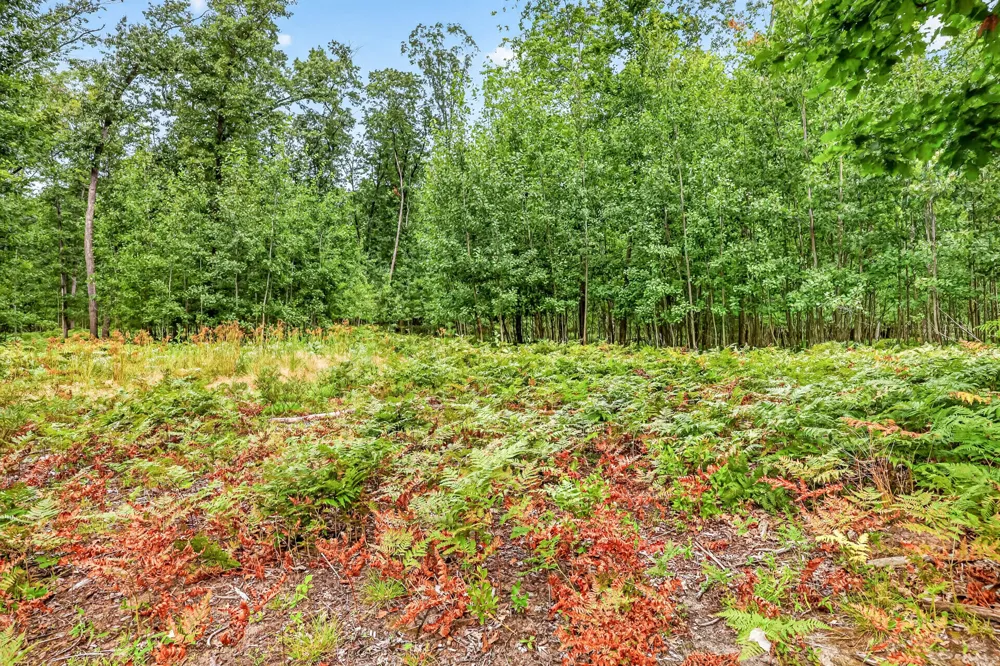 7392 Northern Drive Weare Township, MI 49449