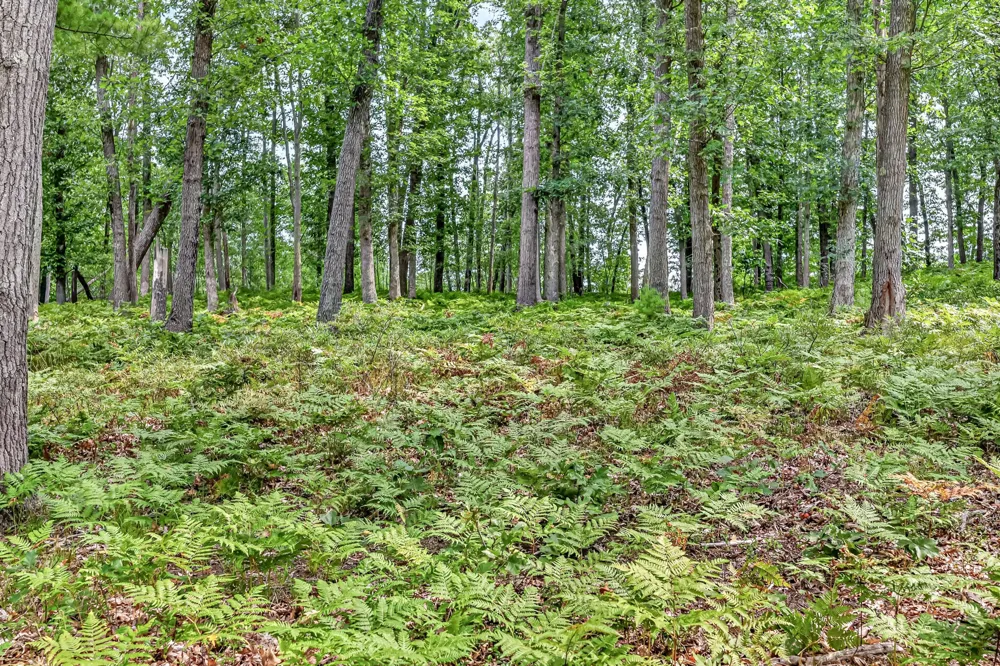 7392 Northern Drive Weare Township, MI 49449