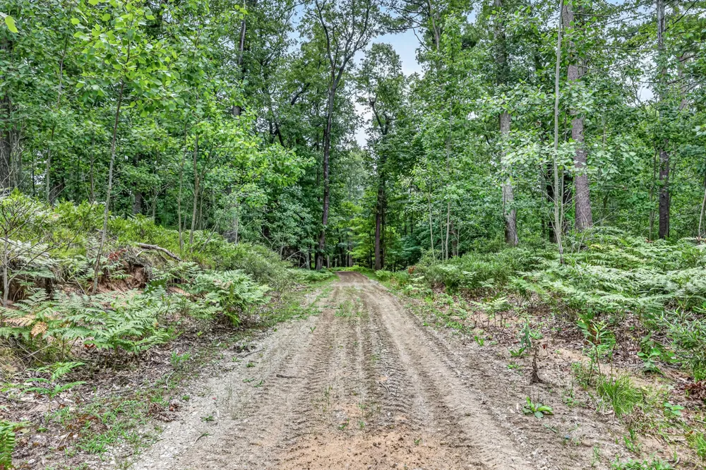 7392 Northern Drive Weare Township, MI 49449