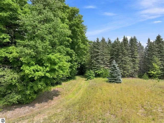 275 S 35 ROAD Selma Township, MI 49601