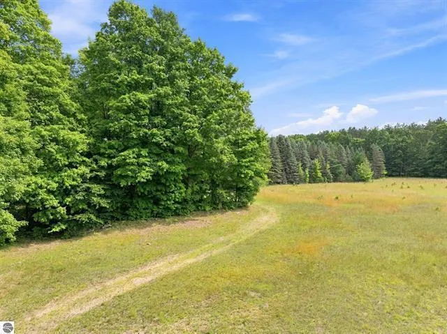 275 S 35 ROAD Selma Township, MI 49601