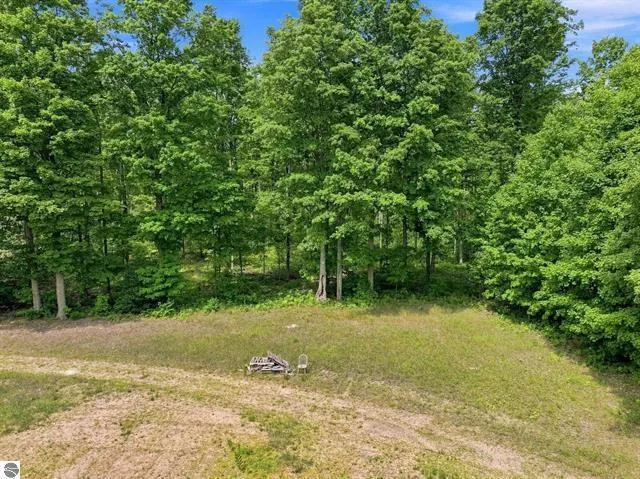 275 S 35 ROAD Selma Township, MI 49601
