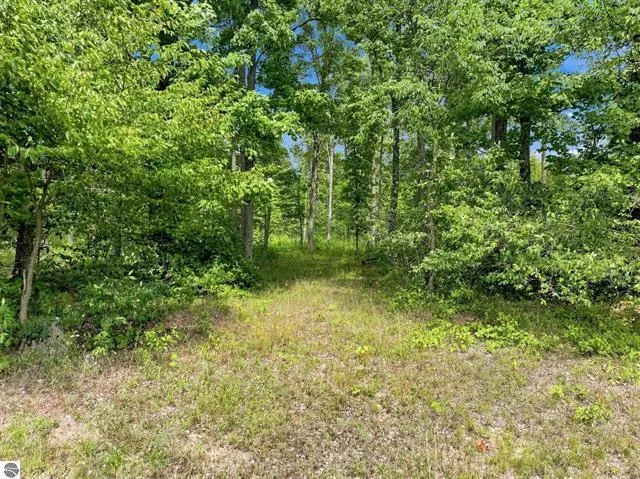275 S 35 ROAD Selma Township, MI 49601