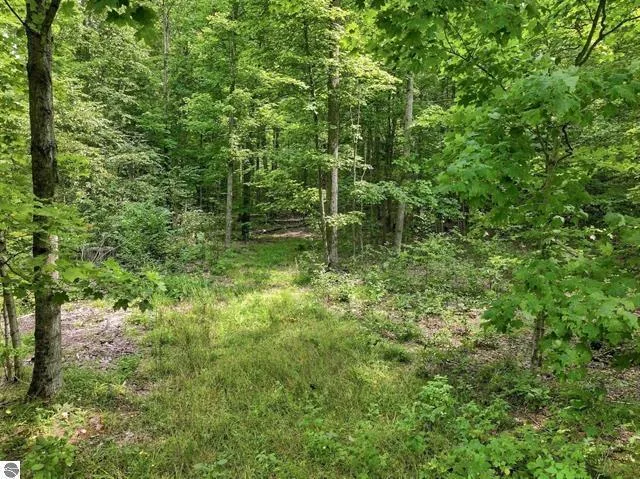 275 S 35 ROAD Selma Township, MI 49601