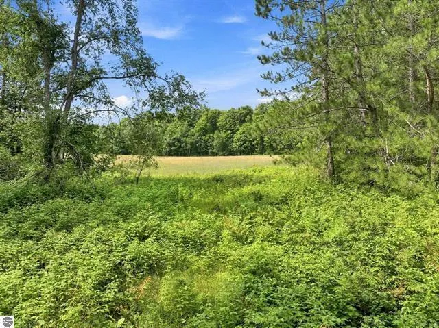 275 S 35 ROAD Selma Township, MI 49601
