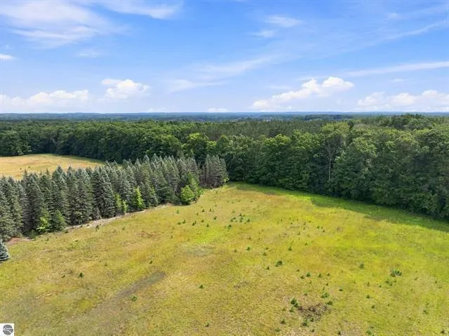 275 S 35 ROAD Selma Township, MI 49601