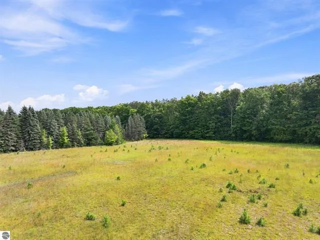 275 S 35 ROAD Selma Township, MI 49601