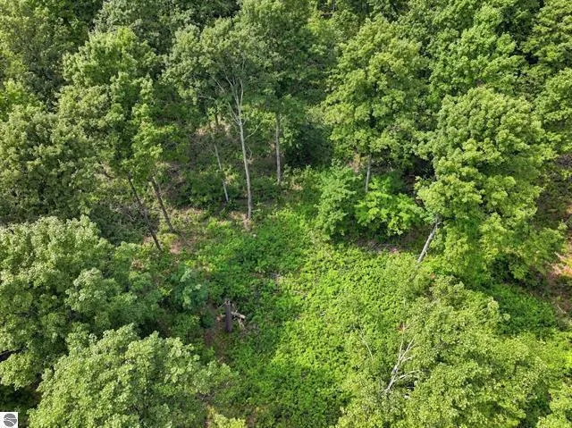 275 S 35 ROAD Selma Township, MI 49601
