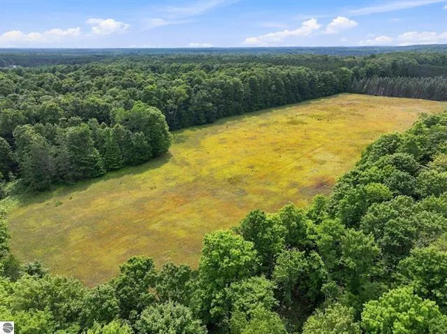 275 S 35 ROAD Selma Township, MI 49601