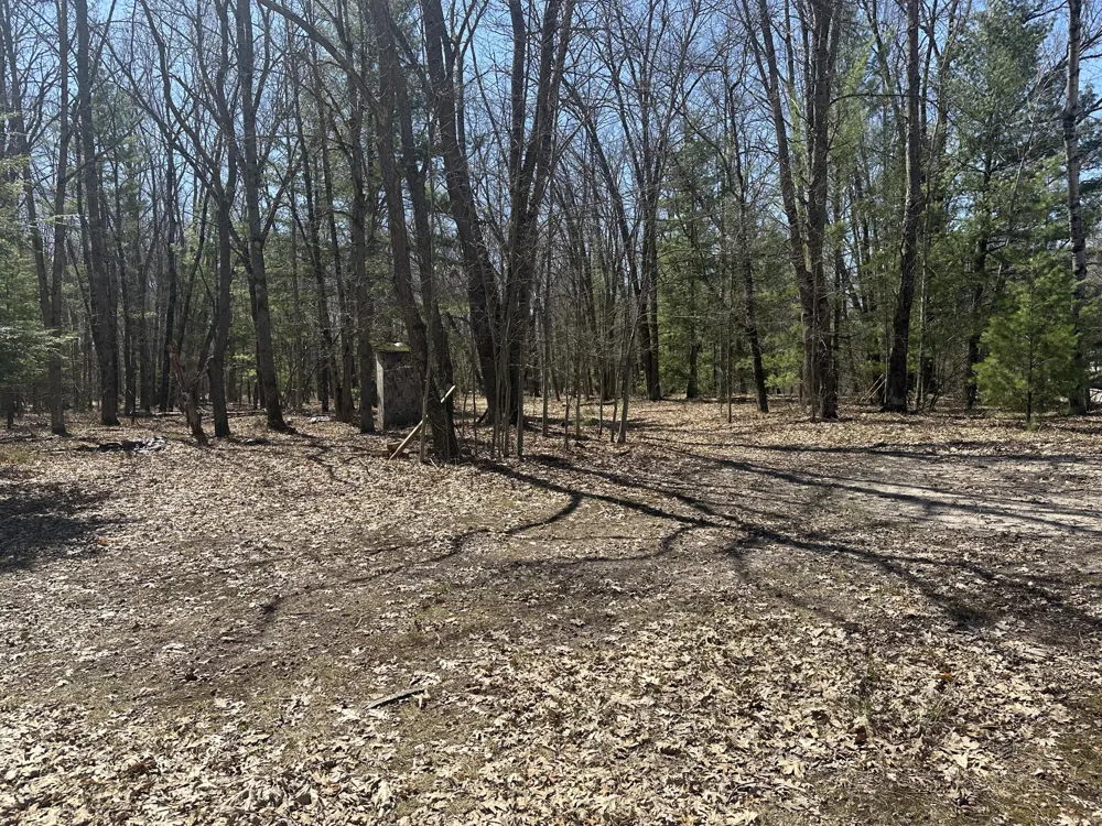604 W Beaver Road Lilley Township, MI 49309