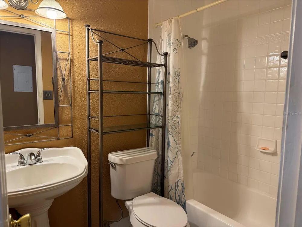 8542 10TH STREET #C St Petersburg, FL 33702
