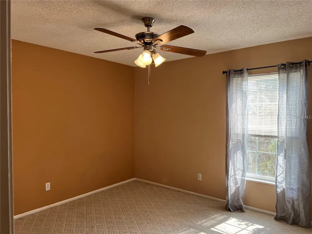 8542 10TH STREET #C St Petersburg, FL 33702