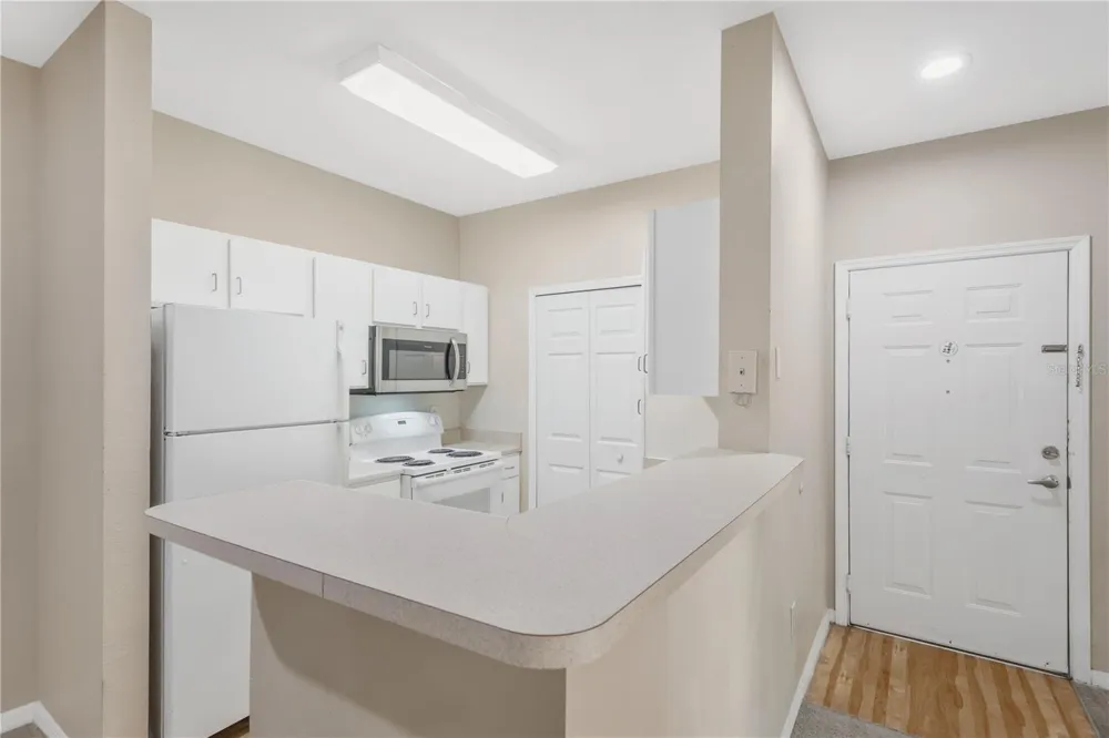 1810 E PALM AVENUE #5205 Tampa, FL 33605