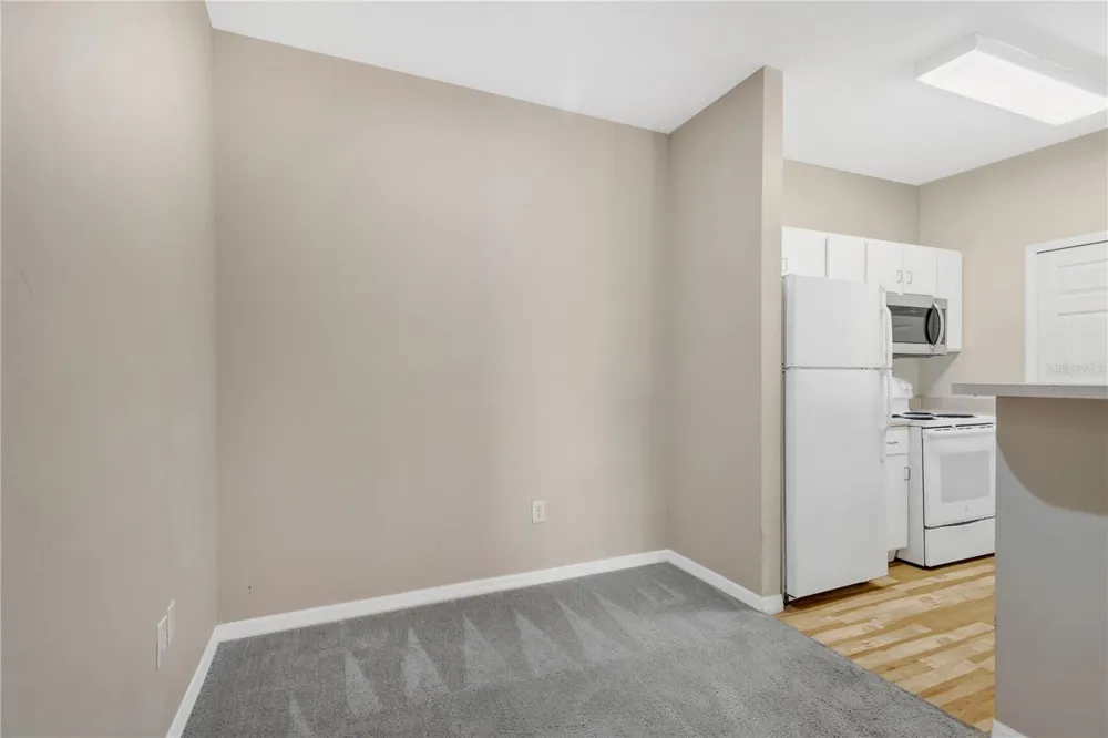 1810 E PALM AVENUE #5205 Tampa, FL 33605
