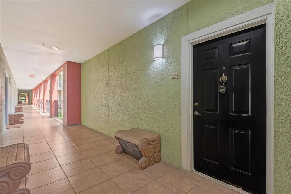 1810 E PALM AVENUE #5205 Tampa, FL 33605