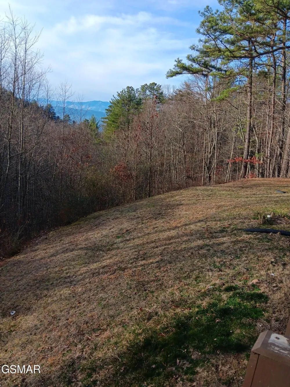 1081 Cove Road #APT 1011 Sevierville, TN 37876