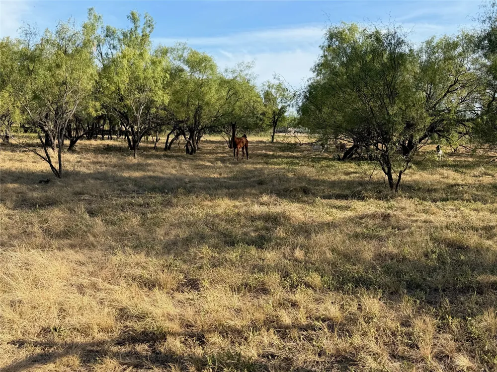 3930 Crestridge Drive Brownwood, TX 76801