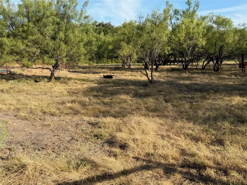 3930 Crestridge Drive Brownwood, TX 76801