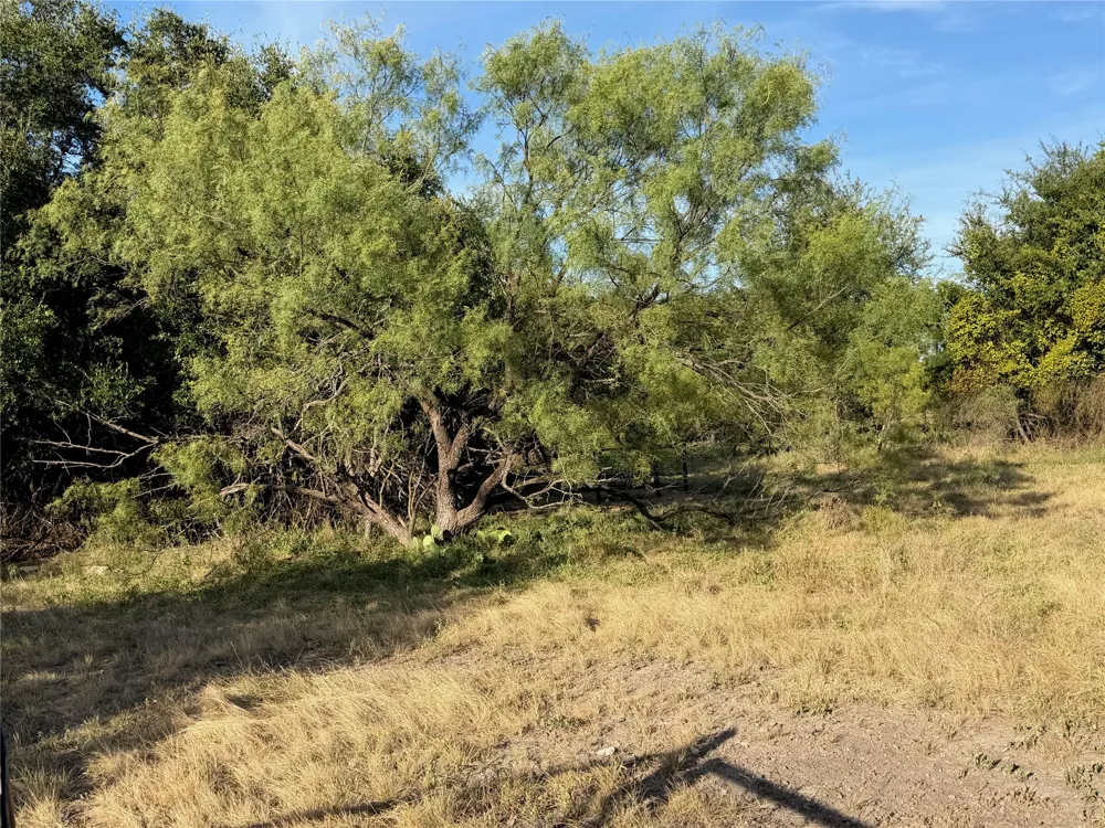 3930 Crestridge Drive Brownwood, TX 76801