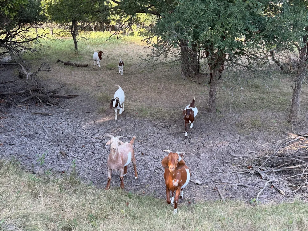 3930 Crestridge Drive Brownwood, TX 76801
