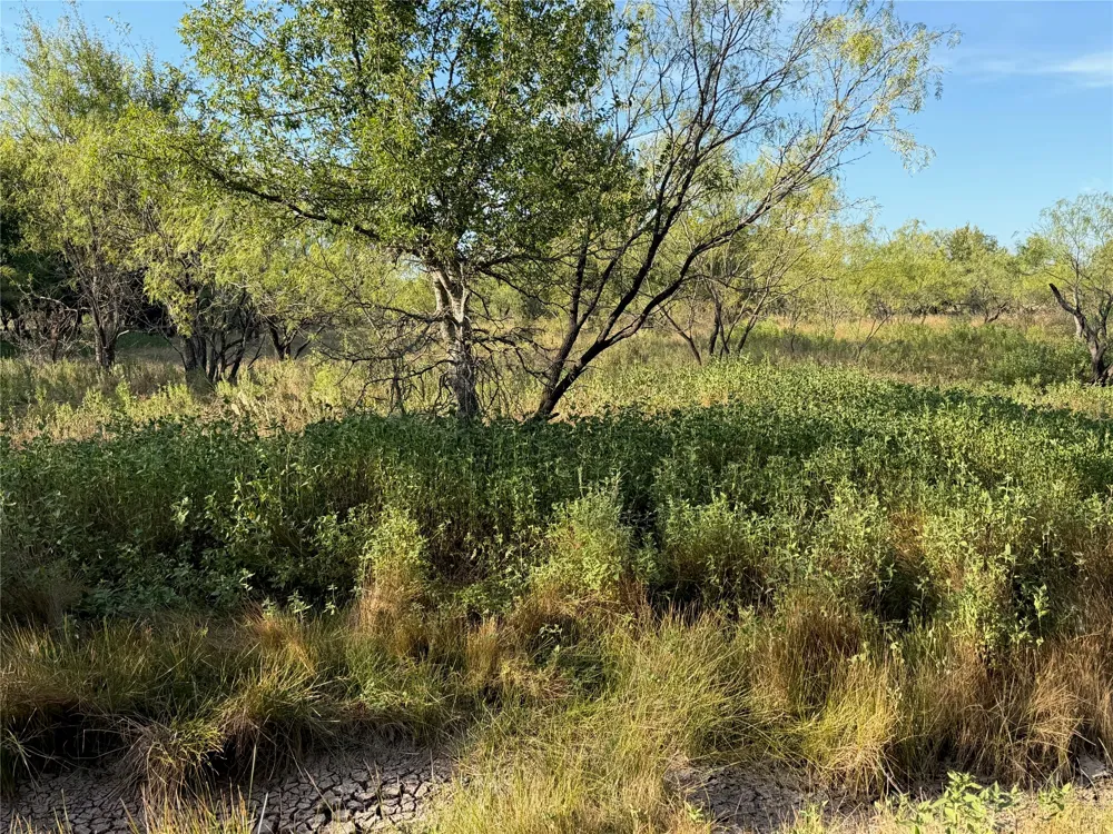 3930 Crestridge Drive Brownwood, TX 76801