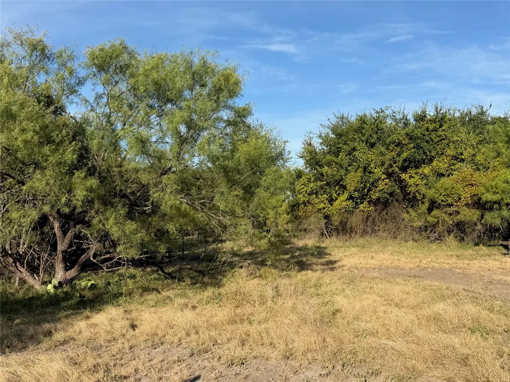 3930 Crestridge Drive Brownwood, TX 76801