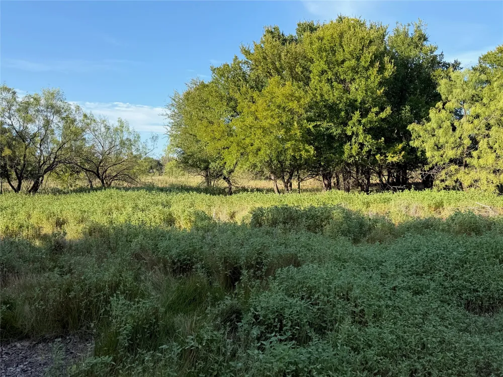 3930 Crestridge Drive Brownwood, TX 76801