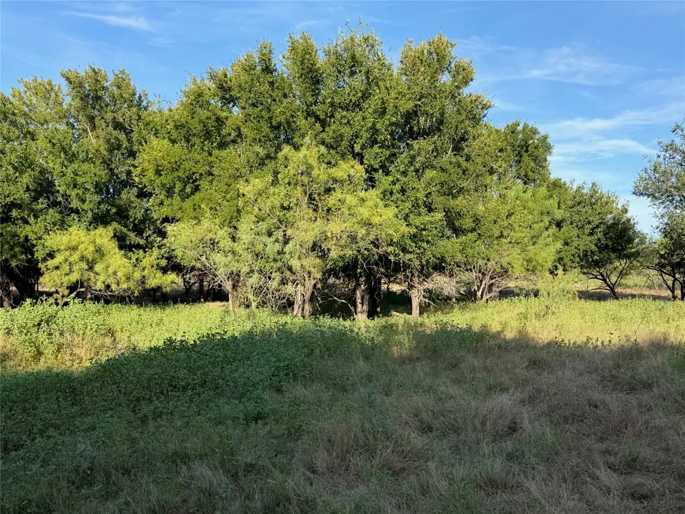 3930 Crestridge Drive Brownwood, TX 76801