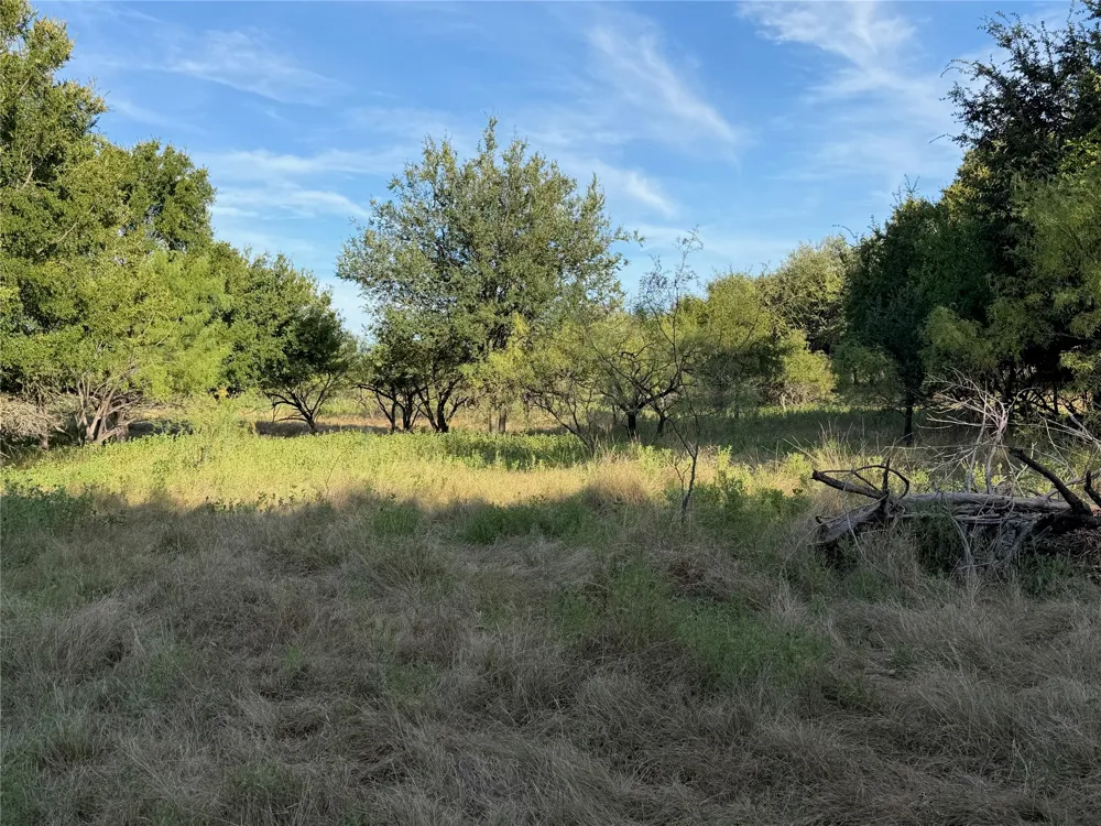 3930 Crestridge Drive Brownwood, TX 76801