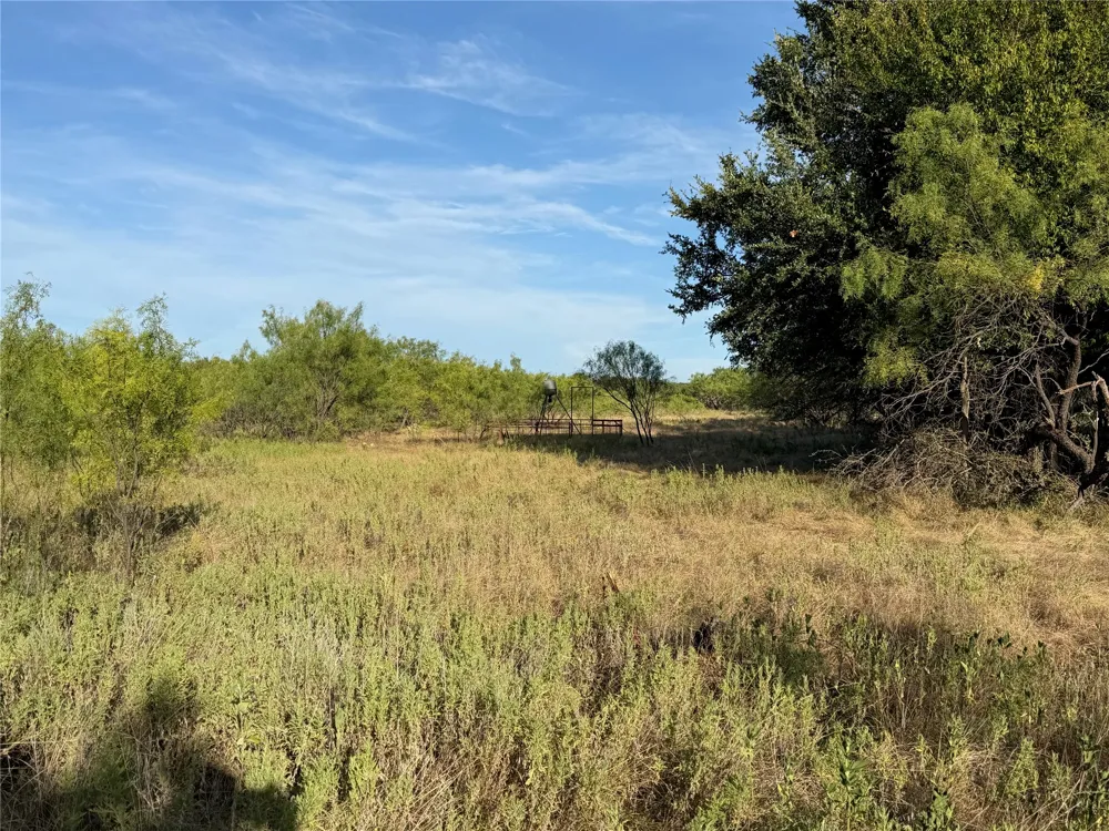 3930 Crestridge Drive Brownwood, TX 76801