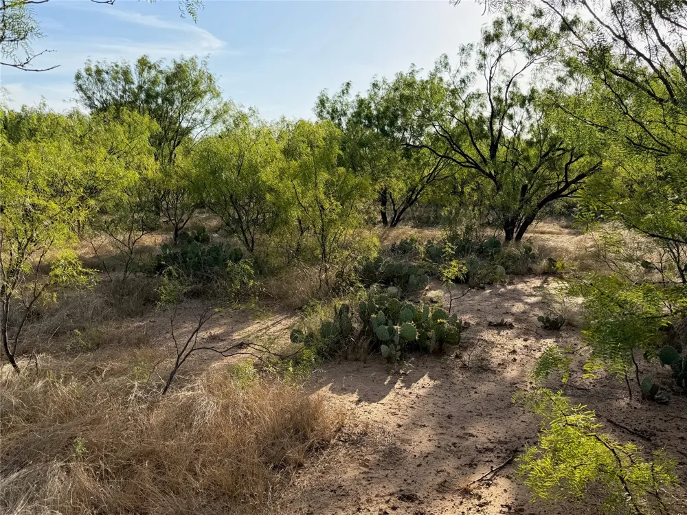 3930 Crestridge Drive Brownwood, TX 76801