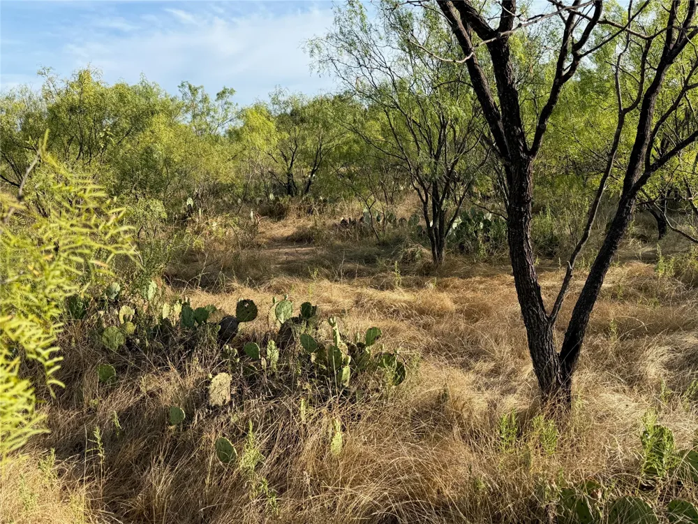 3930 Crestridge Drive Brownwood, TX 76801