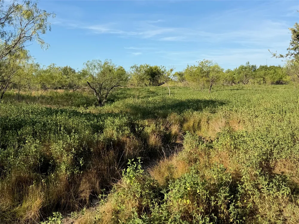 3930 Crestridge Drive Brownwood, TX 76801