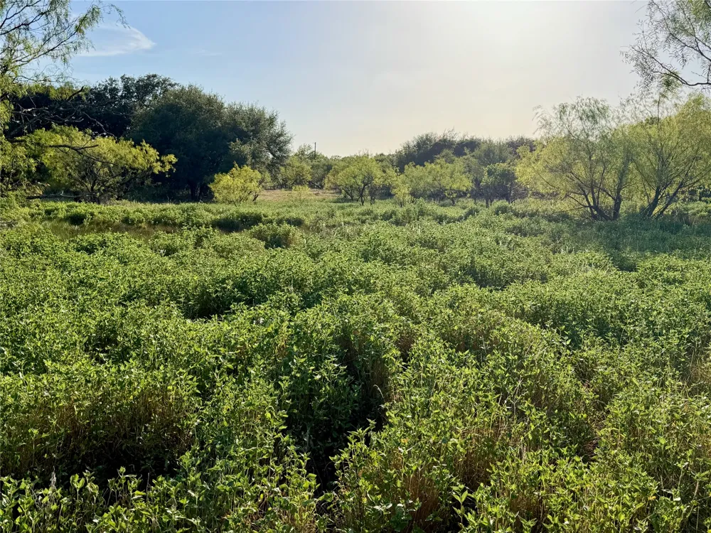 3930 Crestridge Drive Brownwood, TX 76801