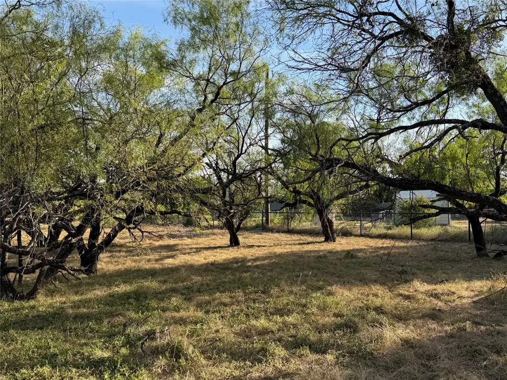 3930 Crestridge Drive Brownwood, TX 76801
