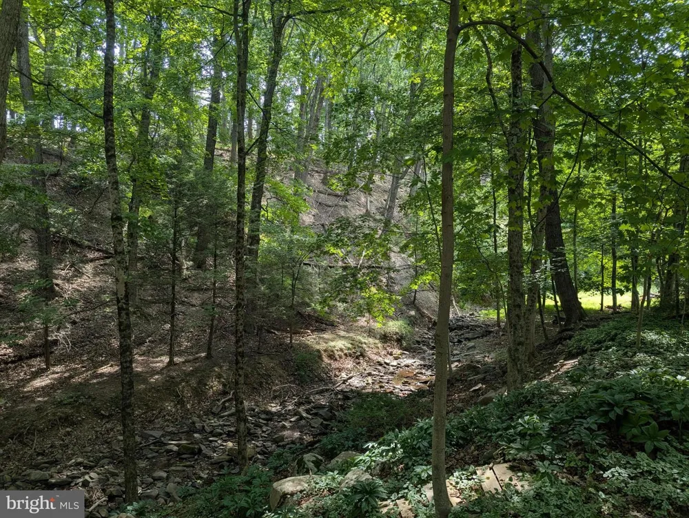 12802 GRAMLICH ROAD SW Lavale, MD 21502