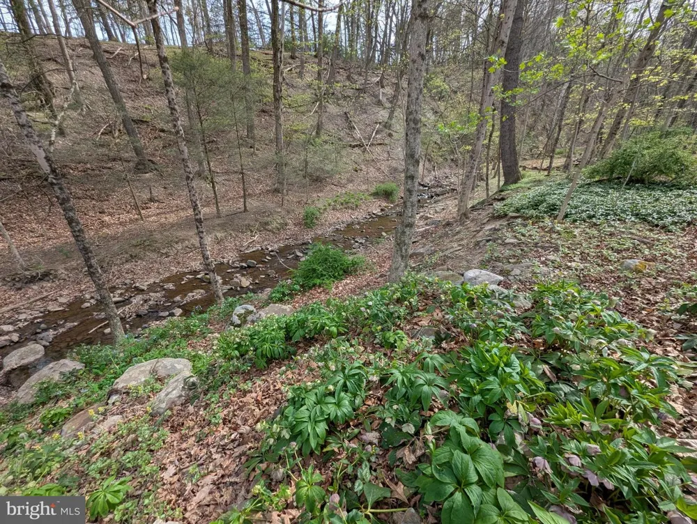 12802 GRAMLICH ROAD SW Lavale, MD 21502