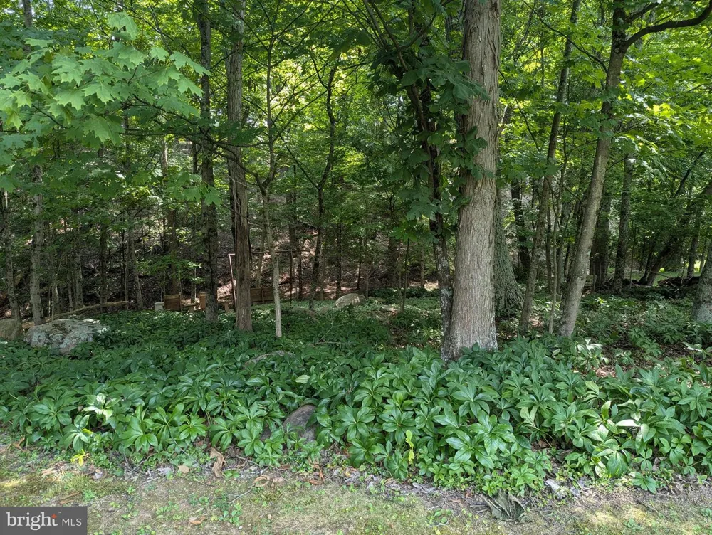 12802 GRAMLICH ROAD SW Lavale, MD 21502