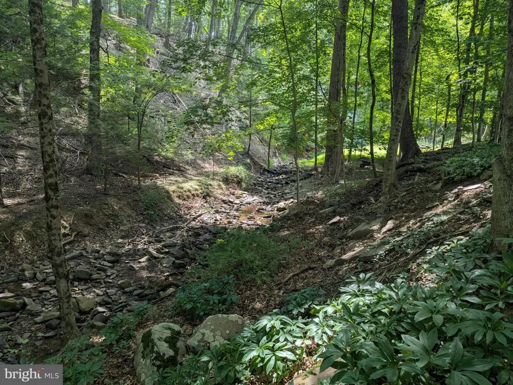 12802 GRAMLICH ROAD SW Lavale, MD 21502