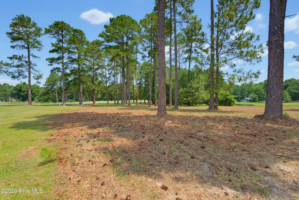 1940 Bill Hooks Road Whiteville, NC 28472
