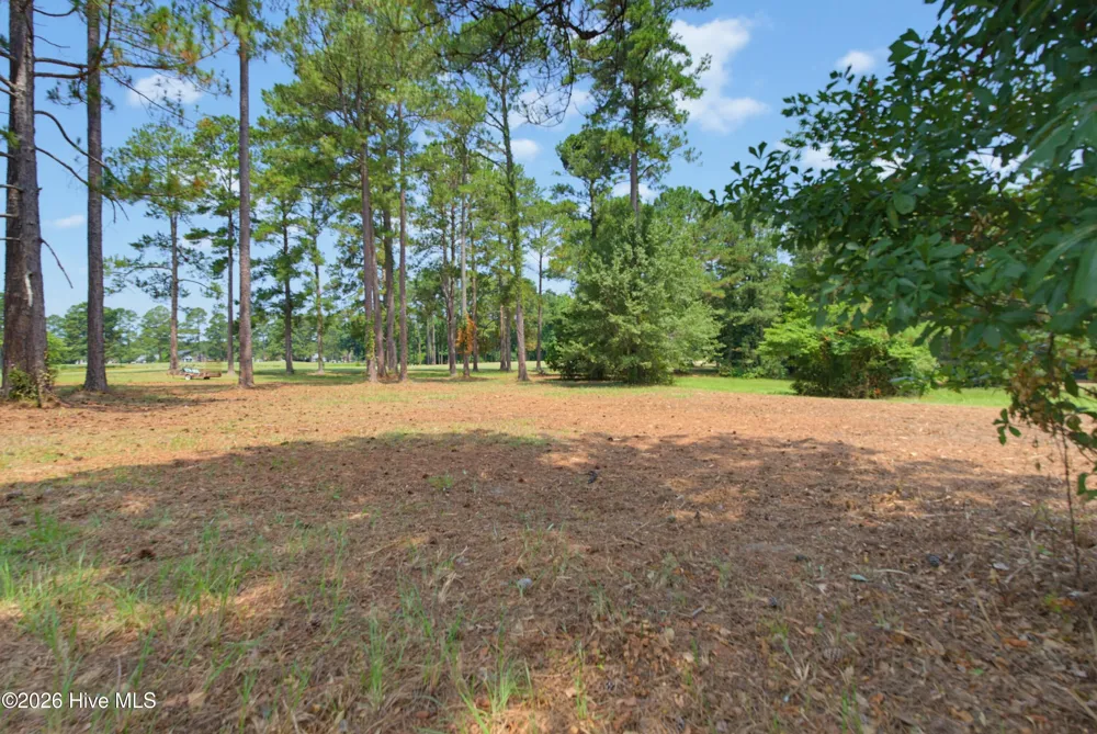 1940 Bill Hooks Road Whiteville, NC 28472