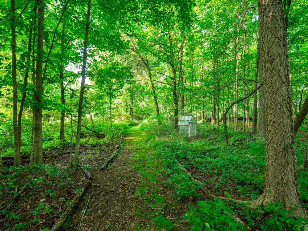 58522 Farrand Road Colon Township, MI 49040